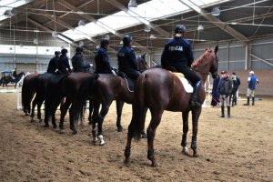 Szkolenie Zespołów Konnych Policji, sześciu policjantów i policjantek na koniach