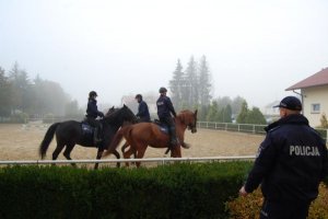 Seminarium szkoleniowe komórek konnych Policji