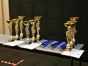 nagrody w turnieju, puchary, medale i dyplomy