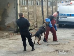 policjanci w trakcie szkolenia z psami