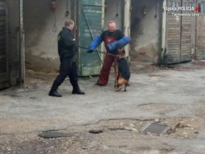 policjanci w trakcie szkolenia z psami