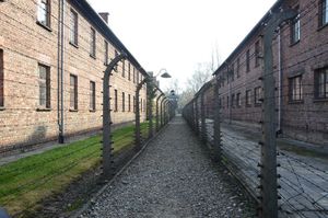 Seminarium w ramach programu &quot;Auschwitz - Pamięć - Edukacja&quot; 6 listopada 2017 roku.