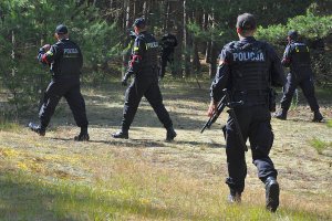 Policjanci w czasie przeszukiwania wyznaczonego terenu.