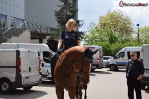 Policjantka na koniu