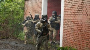 szkolenia zgrywające działania pomiędzy jednostkami KFOR, a komponentem EULEX.

działania kontr-terrorystyczne polegające na szkoleniu z taktyki zdobywania budynków oraz odbijania zakładników.