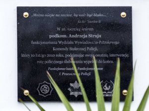 tablica poświęconą pamięci Andrzeja Struja