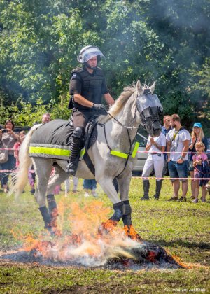 zawody Sedina Horse Show 2016 z udziałem koni policyjnych