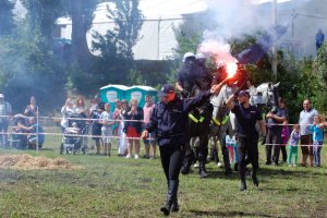 zawody Sedina Horse Show 2016 z udziałem koni policyjnych