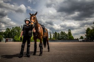 policjant z koniem