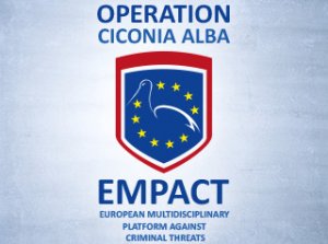 logo operacji o kryptonimie Ciconia Alba
