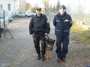 dwaj policjanci z psem