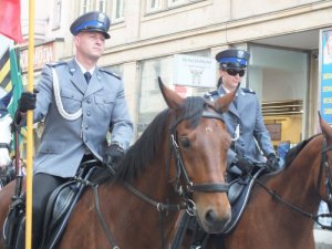 polscy policjanci na koniach