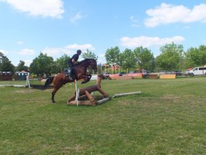 zawodnik na koniu pokonuje przeszkodę