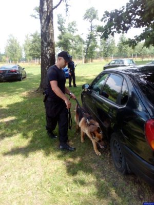 policjant z psem w trakcie zawodów