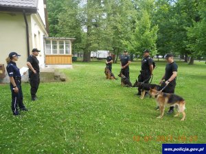 policjanci z psami w trakcie zawodów
