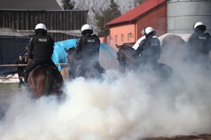Atestacja policyjnych jeźdźców i koni
