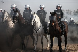 Atestacja policyjnych jeźdźców i koni