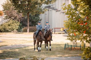 Dwaj policyjni jeźdźcy na koniach służbowych na terenie przyległym do Archikatedry Chrystusa Króla w Katowicach