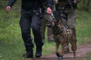 policjant i pies