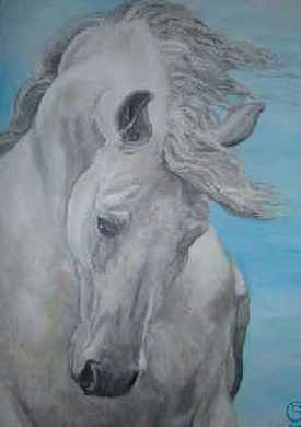 obraz konia białego